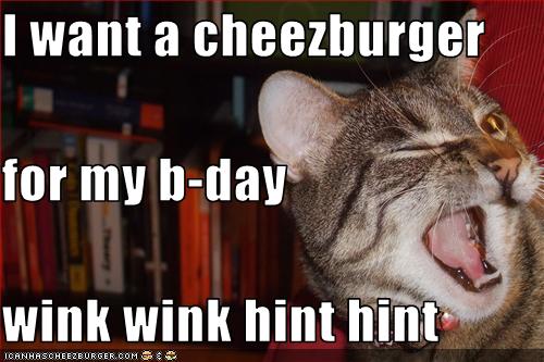 happy birthday funny cat. Happy Unbirthday to YOU !